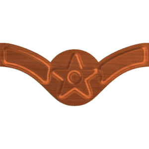 Air Force Rank E - 2 Airman